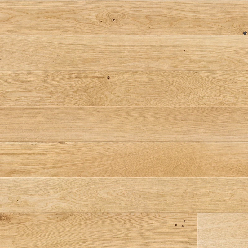 Stejar Mersey Medio photo2